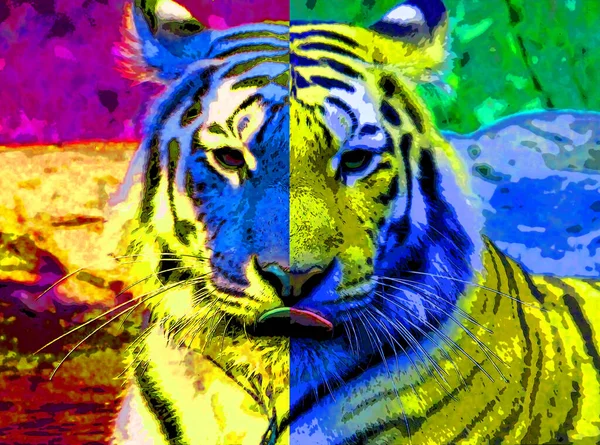 Tiger Tecken Illustration Pop Art Bakgrund Ikon Med Färg Fläckar — Stockfoto