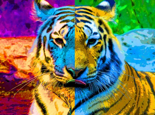 Tiger Sign Illustration Pop Art Background Icon Color Spots — Stock Photo, Image