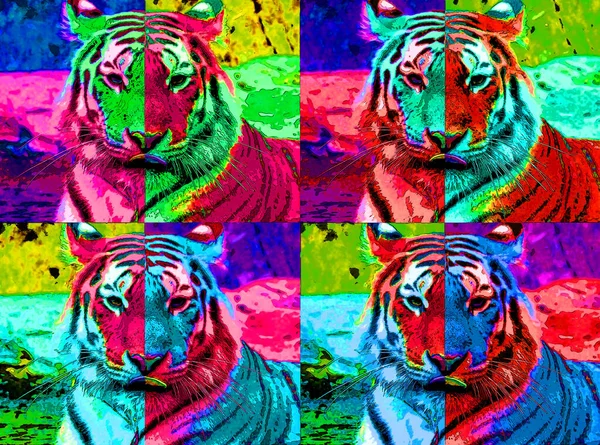 Tiger Sinal Ilustração Pop Art Ícone Fundo Com Manchas Cor — Fotografia de Stock