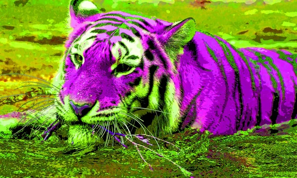 Tigre Signo Ilustración Pop Art Icono Fondo Con Manchas Color — Foto de Stock