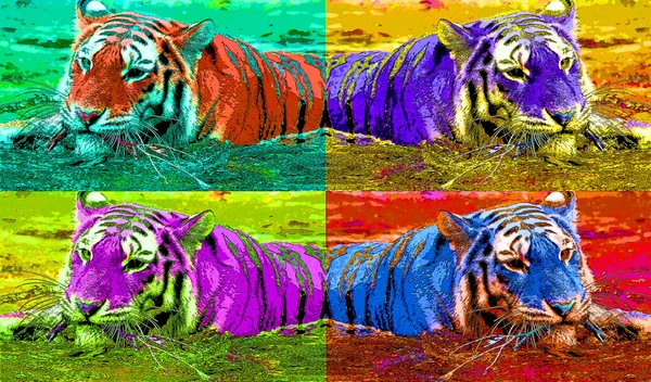 Kaplan Işaret Illüstrasyon Renk Lekeli Pop Art Arkaplan Simgesi — Stok fotoğraf