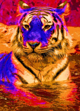 Kaplan işaret illüstrasyon renk lekeli pop-art arkaplan simgesi