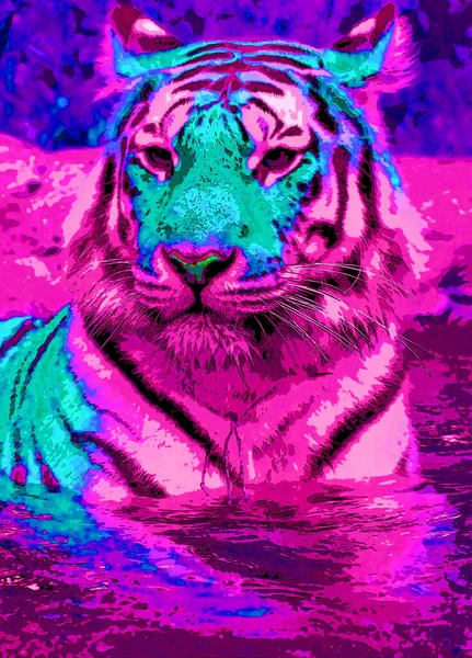 Tiger Sinal Ilustração Pop Art Ícone Fundo Com Manchas Cor — Fotografia de Stock