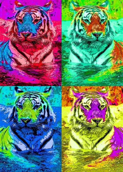 Tiger Sign Illustration Pop Art Background Icon Color Spots — Stock Photo, Image