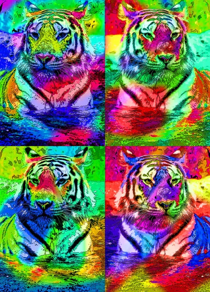 Tigre Signo Ilustración Pop Art Icono Fondo Con Manchas Color —  Fotos de Stock