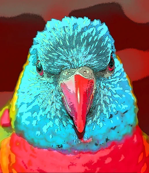 Szivárvány Lorikeet Trichoglossus Moluccanus Egy Faj Papagáj Található Ausztráliában Gyakori — Stock Fotó