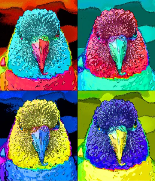 Trichoglossus Moluccanus Uma Espécie Papagaio Família Trichoglossus Comum Longo Costa — Fotografia de Stock