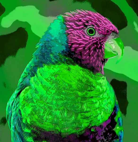 Der Regenbogen Lorikeet Trichoglossus Moluccanus Ist Eine Papageienart Die Australien — Stockfoto