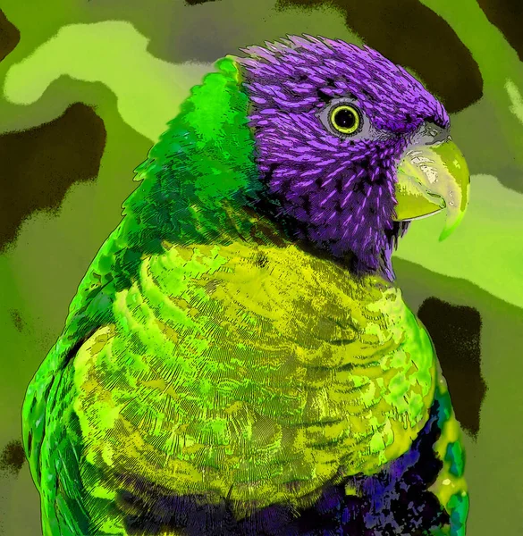 Der Regenbogen Lorikeet Trichoglossus Moluccanus Ist Eine Papageienart Die Australien — Stockfoto