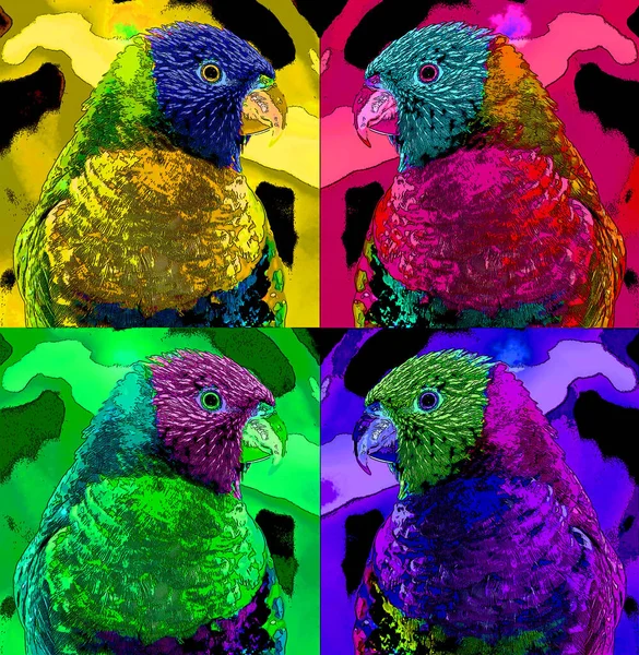 Trichoglossus Moluccanus Вид Папуг Мешкають Австралії Зустрічається Вздовж Східного Узбережжя — стокове фото