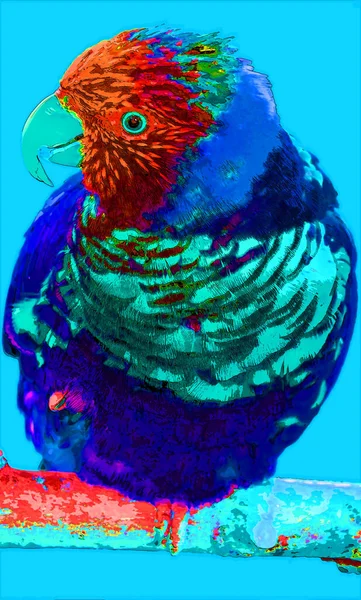 彩虹鹦鹉 Trichoglossus Moluccanus 是在澳大利亚发现的一种鹦鹉 它在东部沿海地区很常见 从昆士兰州北部到南澳大利亚和塔斯马尼亚 — 图库照片