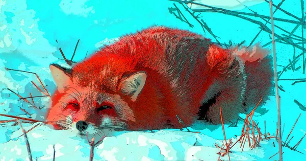北极狐又称 极地狐狸 是一种原产于北极地区的小狐狸 象征着黑白相间的流行艺术背景图标 — 图库照片