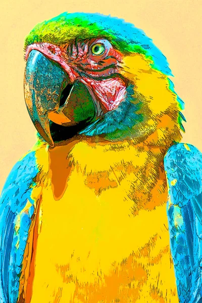 Blue Yellow Macaw Also Known Blue Gold Sign Illustration Pop — Stock Photo, Image