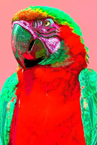 Blue Yellow Macaw Também Conhecido Como Ícone Fundo Pop Art — Fotografia de Stock