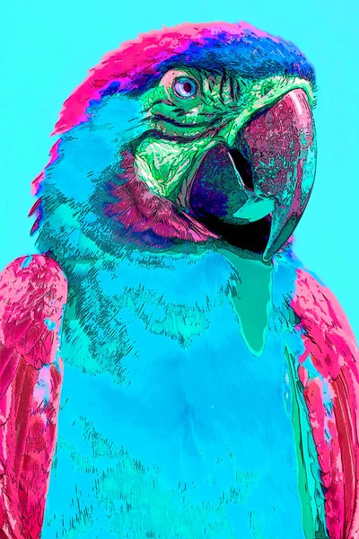 Mavi Sarı Macaw Ayrıca Mavi Altın Tabela Çizimi Olarak Bilinir — Stok fotoğraf