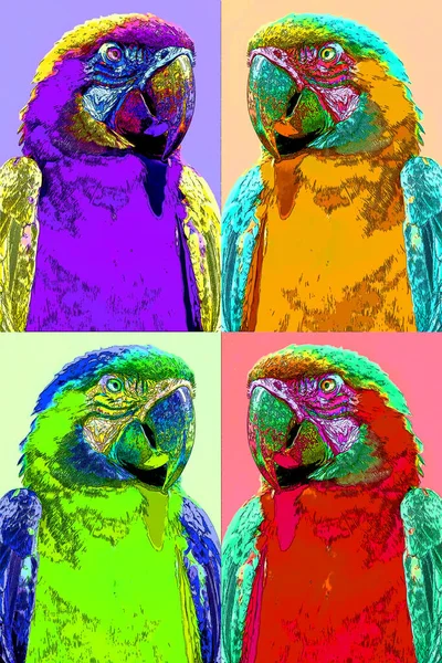 Blue Yellow Macaw Also Known Blue Gold Sign Illustration Pop — Stock Photo, Image