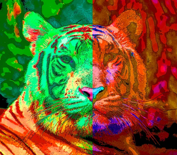 Tiger Σύμβολο Εικονογράφηση Pop Art Εικονίδιο Φόντου Κηλίδες Χρώματος — Φωτογραφία Αρχείου