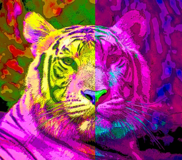 Tiger Sinal Ilustração Pop Art Ícone Fundo Com Manchas Cor — Fotografia de Stock