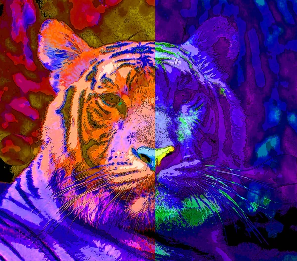 Tigre Signo Ilustración Pop Art Icono Fondo Con Manchas Color —  Fotos de Stock