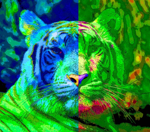 Tigris Jel Illusztráció Pop Art Háttér Ikon Színes Foltok — Stock Fotó