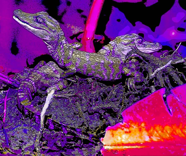Pop Art Crocodile Icon Color Spots — Fotografia de Stock