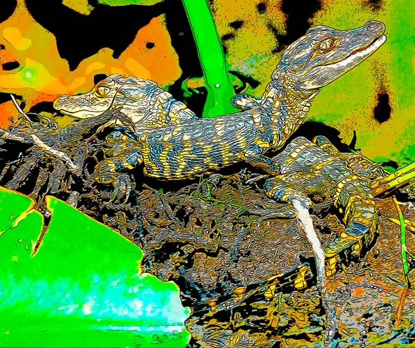Pop Art Krokodilok Ikon Színes Foltok — Stock Fotó