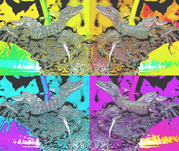 Pop Art Κροκόδειλος Εικονίδιο Χρώμα Κηλίδες — Φωτογραφία Αρχείου