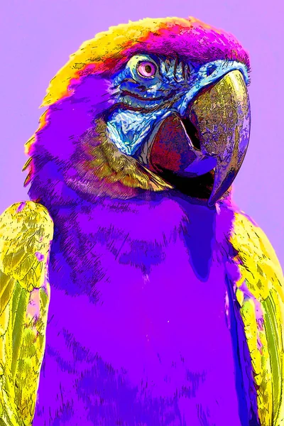 Blue Yellow Macaw Also Known Blue Gold Sign Illustration Pop — Stock Photo, Image