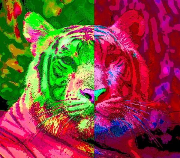 Tiger Zeichen Illustration Pop Art Hintergrund Symbol Mit Farbflecken — Stockfoto