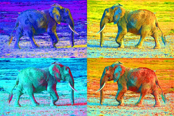 Elefant Zeichen Illustration Pop Art Hintergrund Symbol Mit Farbflecken — Stockfoto
