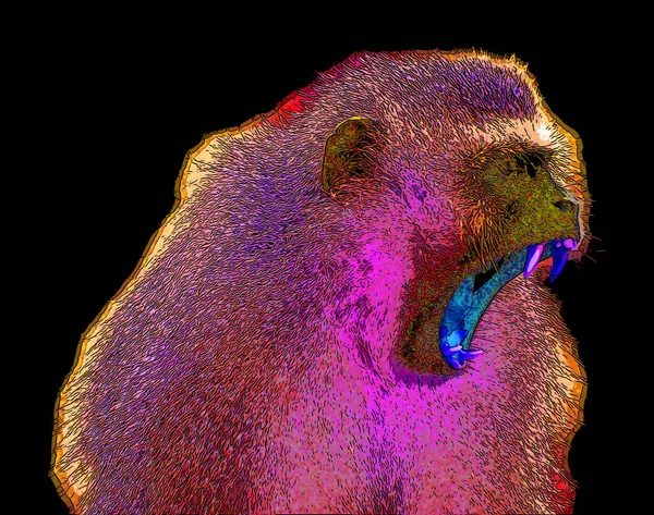 Macaklar Cercopithecinae Alt Familyasından Kapitalist Eski Dünya Maymunlarının Renk Benekleri — Stok fotoğraf