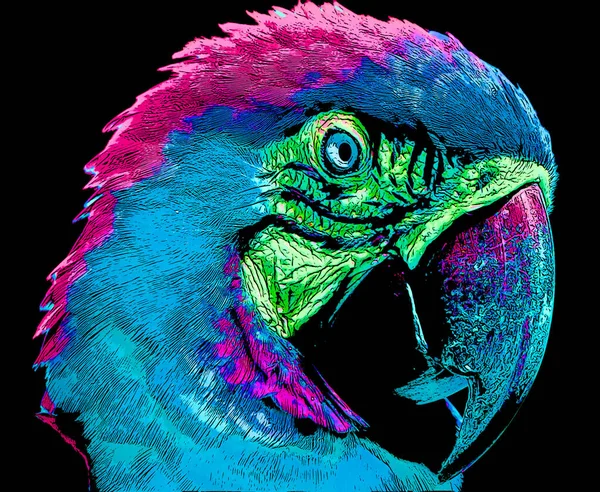 Macaw Spix Cyanopsita Spixii Λίγο Μπλε Macaw Είναι Ένα Είδος — Φωτογραφία Αρχείου