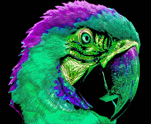 斯皮克斯的金刚鹦鹉 Cyanopsitta Spixii 或蓝色的小金刚鹦鹉 是巴西特有的一种金刚鹦鹉 象征着带有彩色斑点的流行艺术背景图标 — 图库照片