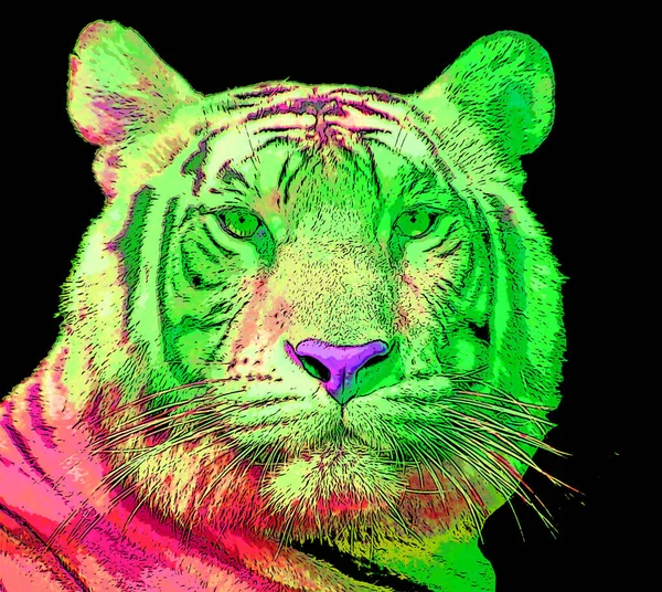 Tigre Signo Ilustración Pop Art Icono Fondo Con Manchas Color — Foto de Stock