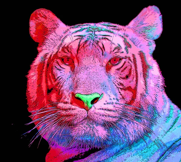 Tiger Sinal Ilustração Pop Art Ícone Fundo Com Manchas Cor — Fotografia de Stock
