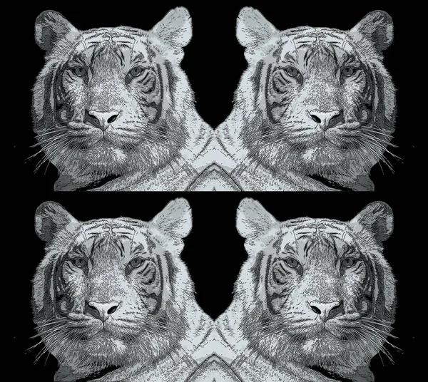 Tigre Signo Ilustración Pop Art Icono Fondo Con Manchas Color —  Fotos de Stock