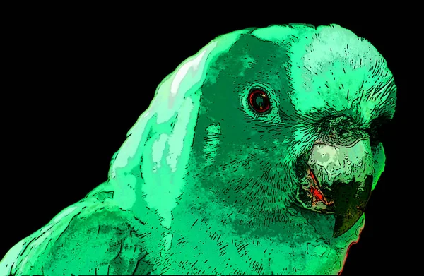 Spix Macaw Cyanopsitta Spixii Eller Liten Blå Makaw Makaw Arter — Stockfoto