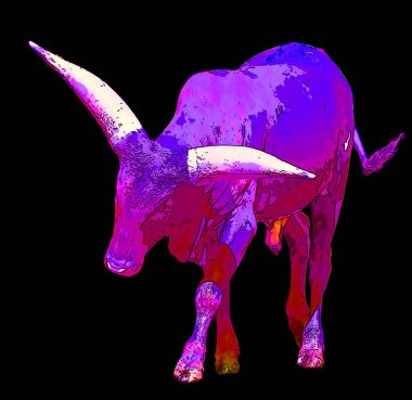 Ankole-Watusi, Amerikan sığırlarının modern bir türüdür. Orta Afrika 'daki Sanga sığır türlerinin Ankole grubundan türemiştir. Renkli pop-art arka plan ikonu imzalarlar.