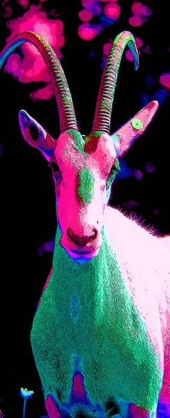 Beisaとしても知られている東アフリカのオリックス Oryx Beisa 東アフリカのサインイラストポップアートの背景アイコンからカモシカの一種です — ストック写真