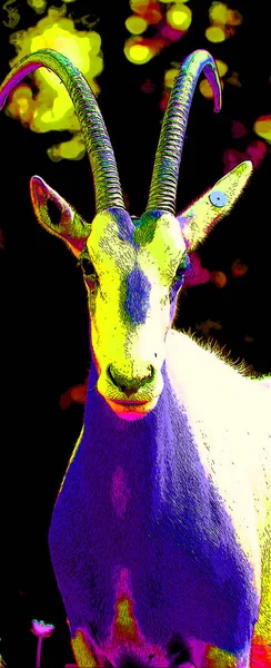 Oryx Beisa Também Conhecido Como Beisa Uma Espécie Antílope África — Fotografia de Stock
