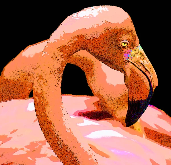 Flamingo Signo Ilustración Pop Art Icono Fondo Con Manchas Color —  Fotos de Stock