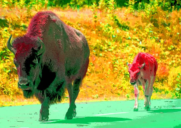 Mother Bison Calf Sign Illustration Pop Art Background Icon Color — Stock Photo, Image
