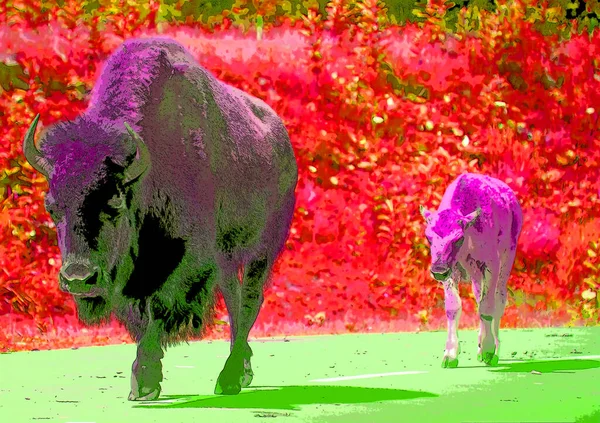 母のバイソンと子牛のサインイラストのポップアートの背景のアイコンとカラースポット — ストック写真