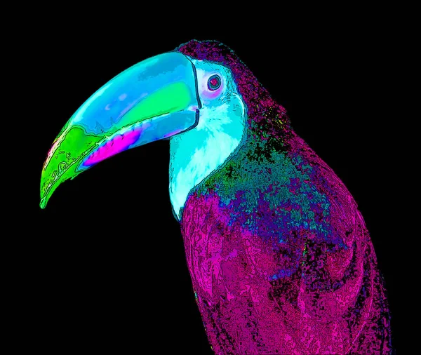 触摸者是来自新热带地区 带有彩色斑点的流行艺术背景图标的近帕塞林鸟家族的成员 — 图库照片
