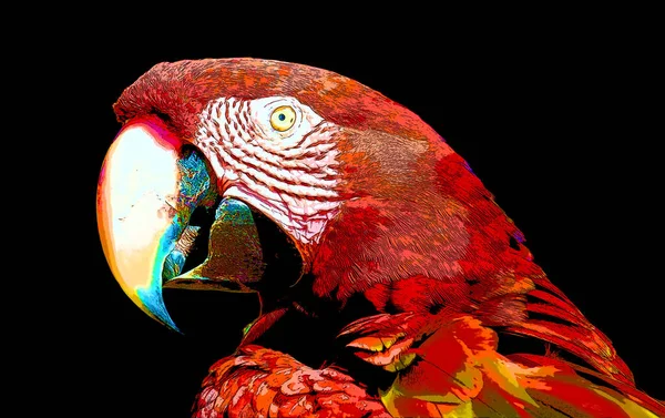Scarlet Macaw Ara Macao Jel Illusztráció Pop Art Háttér Ikon — Stock Fotó