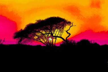 Kruger Ulusal Parkı 'nın günbatımı, Afrika' nın en büyük oyun rezervlerinden biridir ve renkli benekleri olan pop-art arka plan ikonudur.