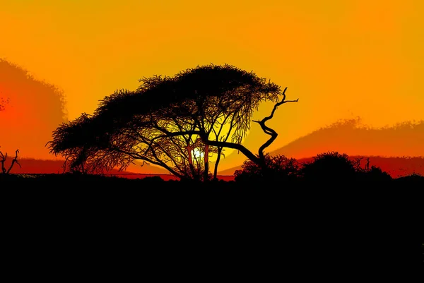 Закат Пейзаж Национального Парка Крюгер Является Южно Африканский Национальный Парк — стоковое фото
