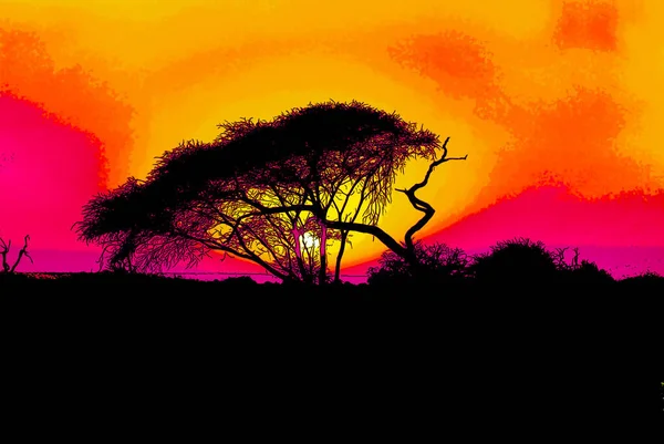 Kruger Ulusal Parkı Nın Günbatımı Afrika Nın Büyük Oyun Rezervlerinden — Stok fotoğraf