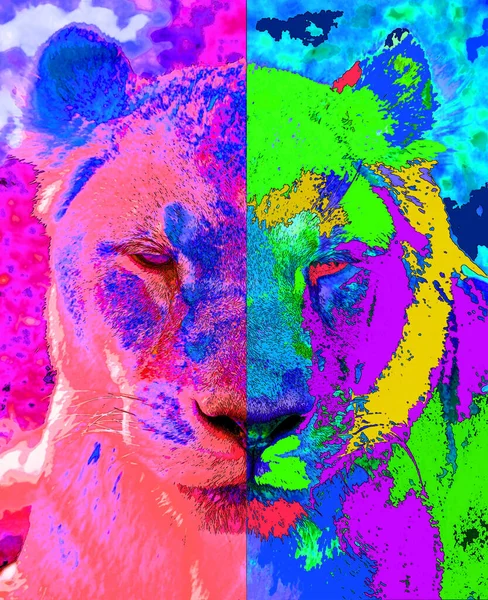 Lion Znak Ilustracja Pop Art Tło Ikona Kolorowe Plamy — Zdjęcie stockowe