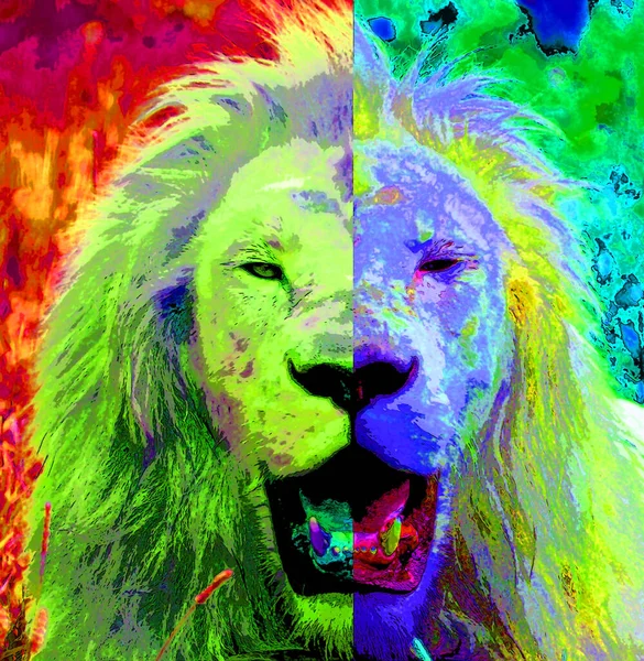 Lion Σημάδι Εικονογράφηση Pop Art Εικονίδιο Φόντου Κηλίδες Χρώματος — Φωτογραφία Αρχείου